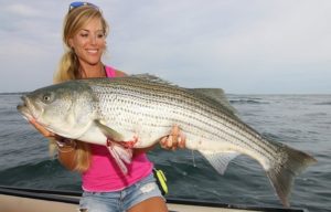 Sea Bass Fishing