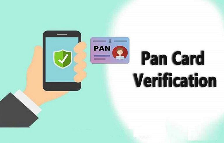 What Is Pan Verification Record